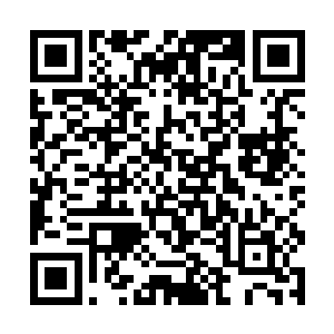 转轮殿首席徐林并没有在那个时间段做出谋逆的事情二维码生成