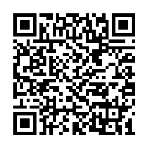 转过身看见齐鹿从树荫小道里朝着她快步走过来二维码生成