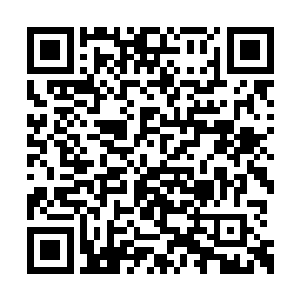 轻纱遮身的真空侍女们已经蝴蝶一样舞到了桌前二维码生成