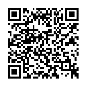 轻而易举地就秒杀了目前出场的其他一众男演员二维码生成