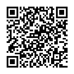 轻轻松松便拦住了丁武这如同狂风骤雨般的疯狂进攻二维码生成