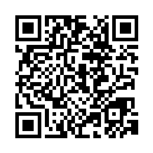 轼疏看着黑压压的如波涛般汹涌的一片甲虫二维码生成