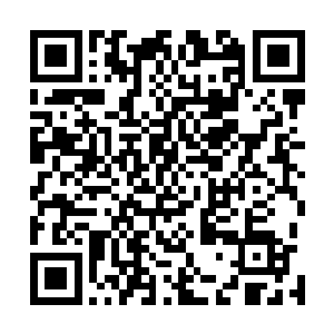 辐射万千家庭――曾经只有几个影响因子的x光已是大众产品二维码生成