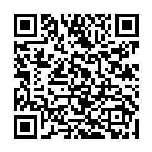 输入着昨天她看着司见御输入地六位电子密码锁号码二维码生成