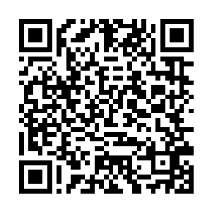 辟谷丹应该就是将一些高能量的食物精华凝结成丹药二维码生成