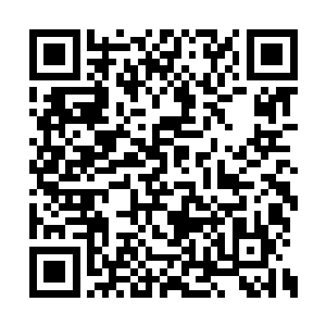 辰玺便知她已在千华苑里面唤出五鬼依计行事了二维码生成