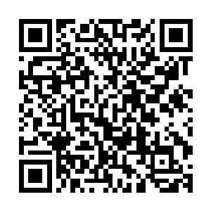 辱骂一位大师也就代表着对灵师公会和对整个灵师体系的挑衅二维码生成