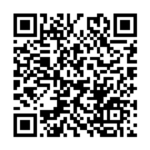 边学道一行人拿到了演出商免费赠送的蓝色荧光棒二维码生成