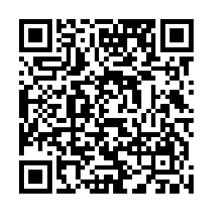 边学道十分好奇是什么让二者在最佳投资窗口期擦肩而过二维码生成