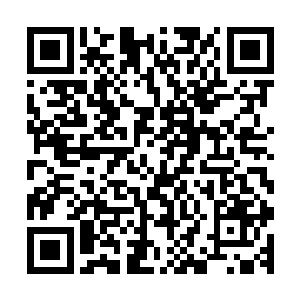 边学道在法国酒庄里可是藏着一个身材不输于你的肉弹型美女二维码生成