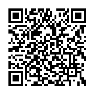 辽东北门上的将士霎时间迸发出一股惊人的士气二维码生成