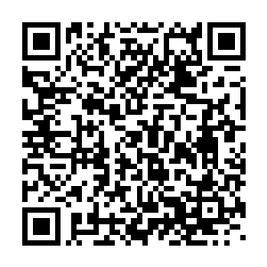 达到了战略目的就算再付出六个天仙陨落代价对整个五脉阵营也值得二维码生成
