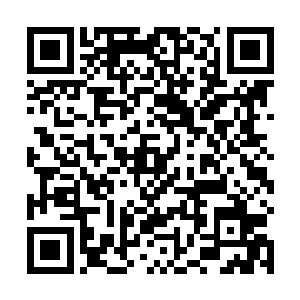 达文波特……就是最早当诱饵骗了秦方的那个圣灵骑士二维码生成