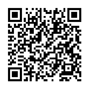 迄今为止整个盘古宇宙计算力最强大的超级晶脑二维码生成