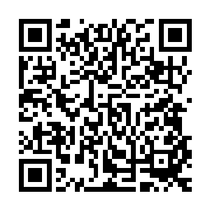 迅速将手从夭华的手中抽出来之际就反过来一把扣住夭华的手腕二维码生成