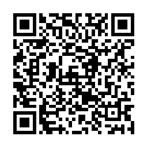 迅速将目光移到了那被筒子罩住后游移的筛子上了二维码生成