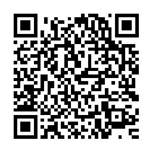 迅速的在这片小花圃的上方汇聚出了一团香瓜大的嫩黄花瓣球二维码生成