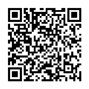 迅速腾空而起加入到十里之外如同绞肉机般的战场二维码生成