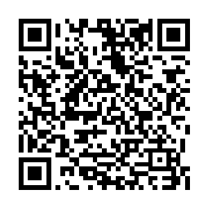 过一会儿一年级的学生都来到了之后马上就开始二维码生成