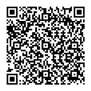 过两天私底下请人家两口子吃饭践行的时候依样画葫芦的讲了讲海岛周围的复杂民族宗教形势二维码生成