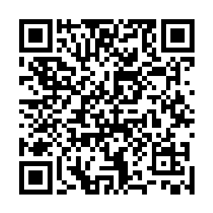 过了一会儿冷却之后杨晨便让冰眼火焰蛇进入这铁锅之中二维码生成
