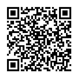 过了好一会儿终于还是转身回到了原来的位置上坐了下来二维码生成