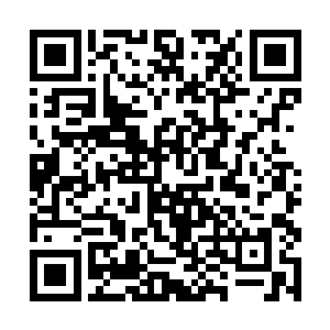 过年前从平安奶奶那里拿来的金莲茶已经消了一大半二维码生成