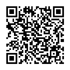 迎接这些弟子的都没有先前风花雪月的烂漫轻松了二维码生成