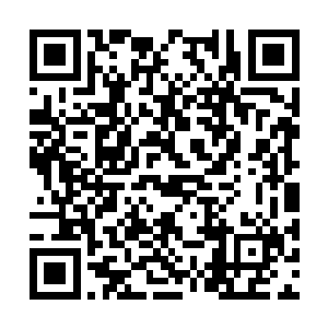 迎着在空中俯冲下来的那只天尊期混沌兽冲了过去二维码生成