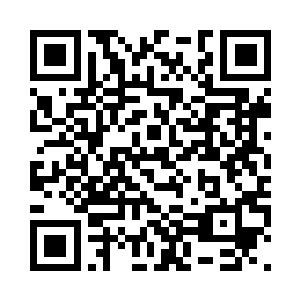 迎面亦是飞来一个笑吟吟的白衣女修二维码生成