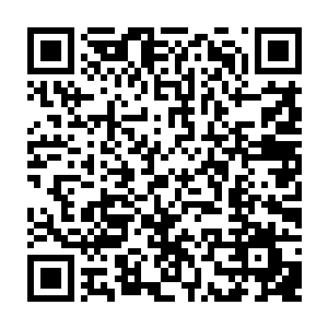 迎面而来的怨气和冲天的血腥之气让两人都是感觉有无数的冤魂在身边徘徊二维码生成