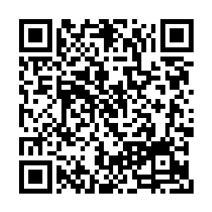 运用精神力仔细地查看着许紫烟制作的二品符宝二维码生成