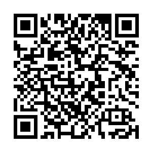 近一公分长的直径……身躯比之前臃肿了十倍都不止的二维码生成