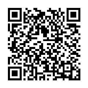 近期陆为民似乎也对房地产业的看法有了一些改观二维码生成