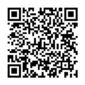 还不如发挥其瞬发寒冰魔法和空中重甲单位的优势二维码生成