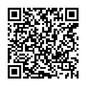 还不如顺着大家的意思早点上去然后让电梯早点下来二维码生成