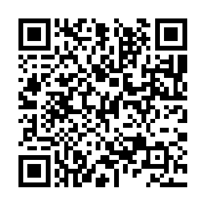 还不是老老实实拍在烂陀山几位老和尚后面吃灰尘二维码生成