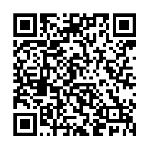 还不等那落日的余晖从宗祠大殿的那一排瑞兽上移走二维码生成