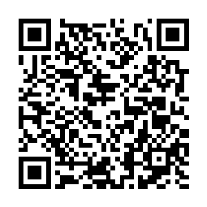 还不能站起来的树枝正坐在兽皮上眼巴巴的看着她二维码生成