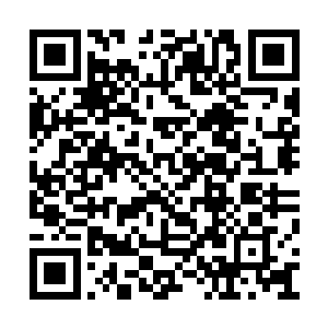 还从没看到过您动用这个储物装备里面的东西呢二维码生成