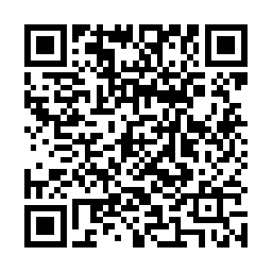 还以为自己做的每个任务的人物都是和自己名字一样呢二维码生成