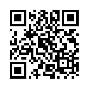 还包括这架飞机可以个性定制二维码生成