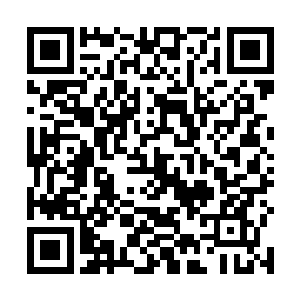 还十分巧合的看到了我们混了个脸熟的上将穿军装大人二维码生成