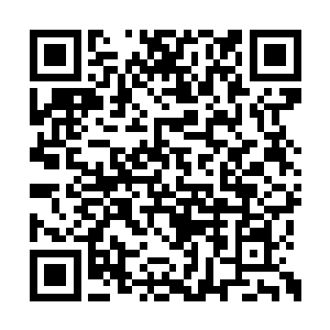 还可以在大青山上的苗圃拓展出自己的鲜花基地二维码生成