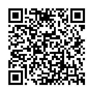 还可以给自己丢失如此重要的信物找一个替死鬼二维码生成