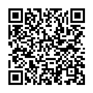 还吓得展队这个一直说自己胆大的刑警队长失了风度二维码生成