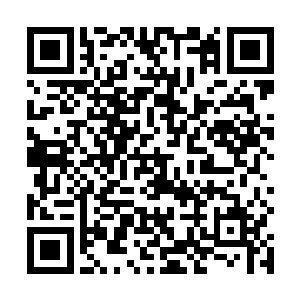 还听说是沈姑娘发明的新武器和祈的东南风起了大作用二维码生成