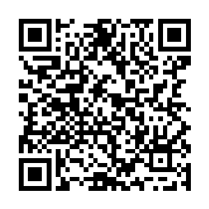 还因为博柏利出现在红地毯上的设计确实是惊艳四座二维码生成