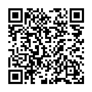 还在为那两起妓女被虐杀分尸案焦头烂额的特殊案件组二维码生成