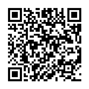 还在大鱼够大小鱼的几口并不没有造成实质性的伤害二维码生成